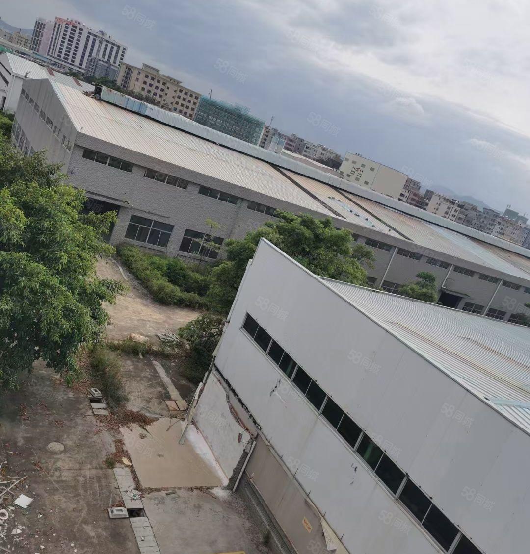 惠城区滴水10米，单一层钢结构厂房仓库出租60000平方