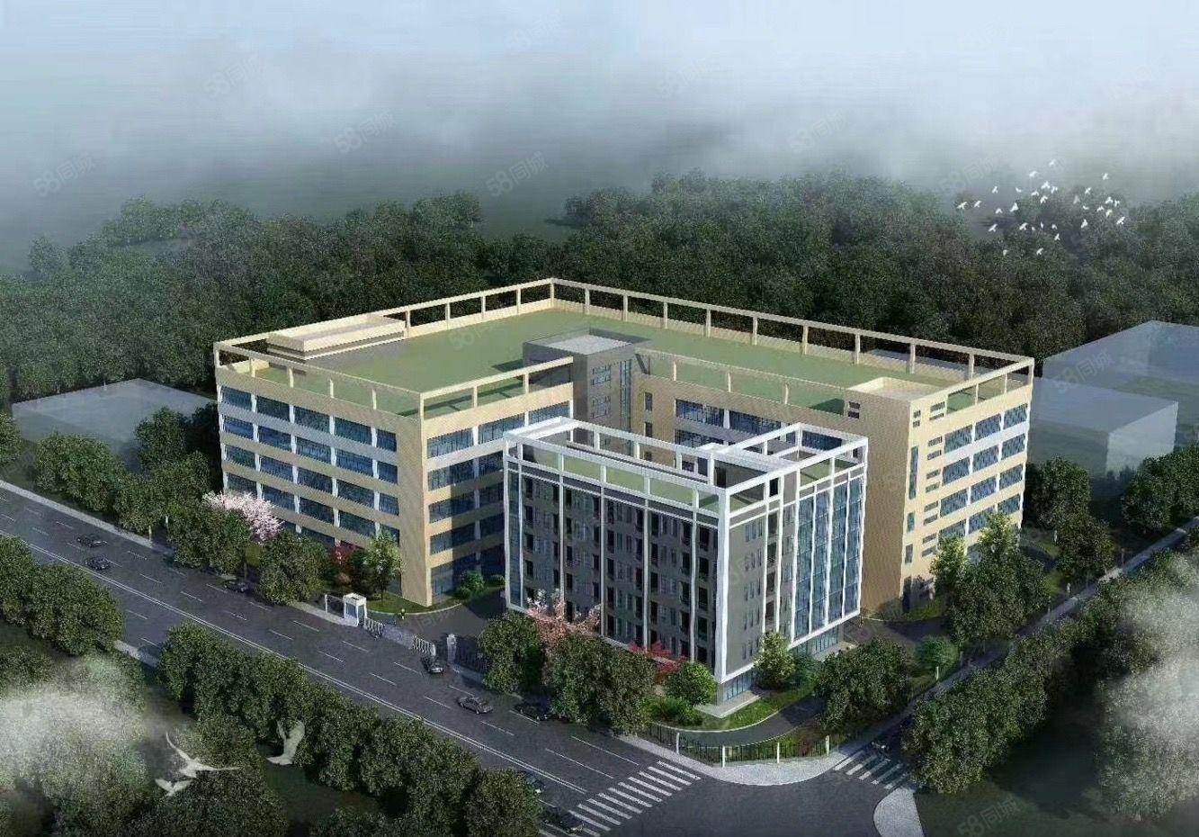 马安惠州大道边全新红本厂房11元每平米大小可分租