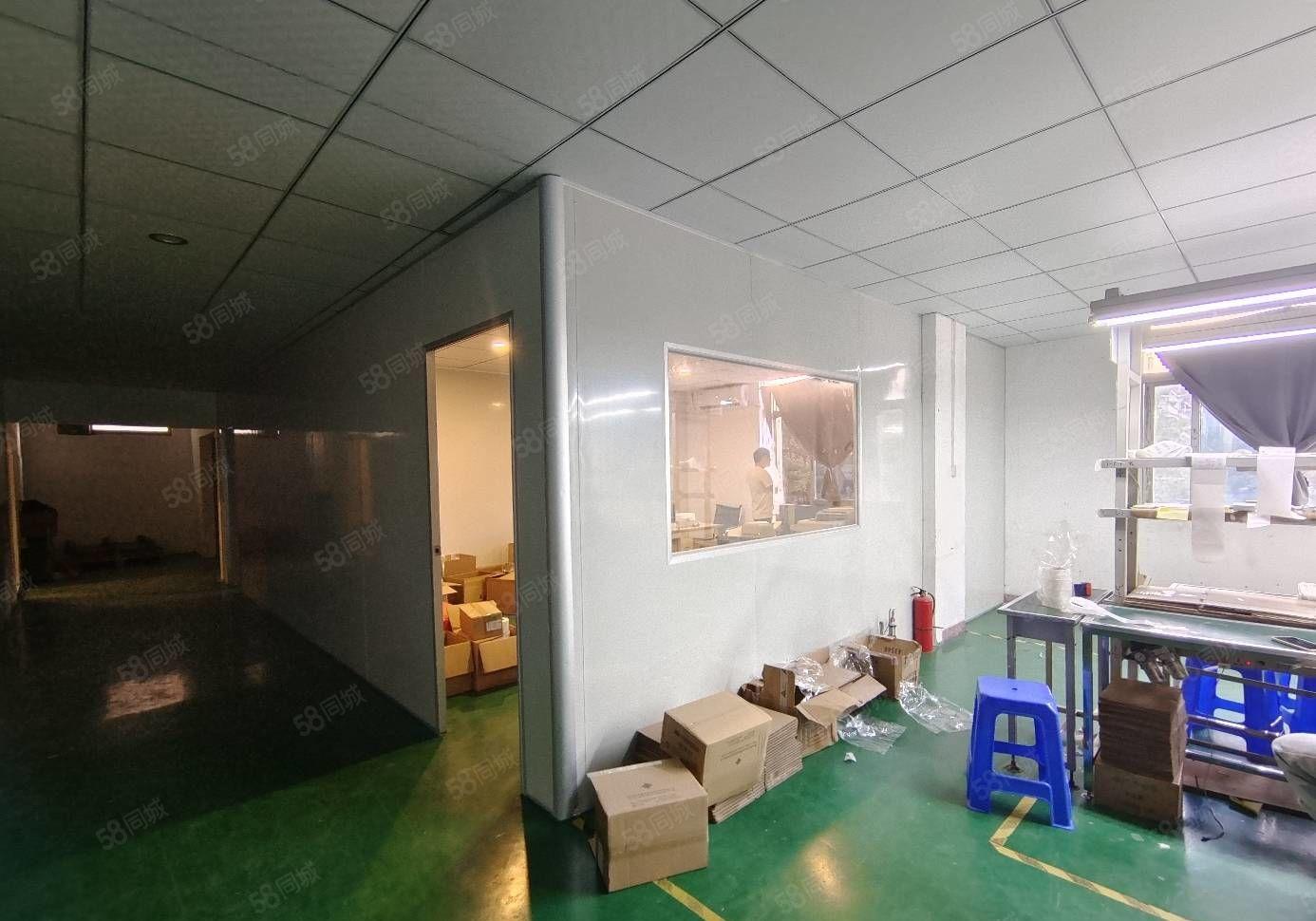 9.9元招租，马安镇政府附近全新厂房1200平方厂房招租