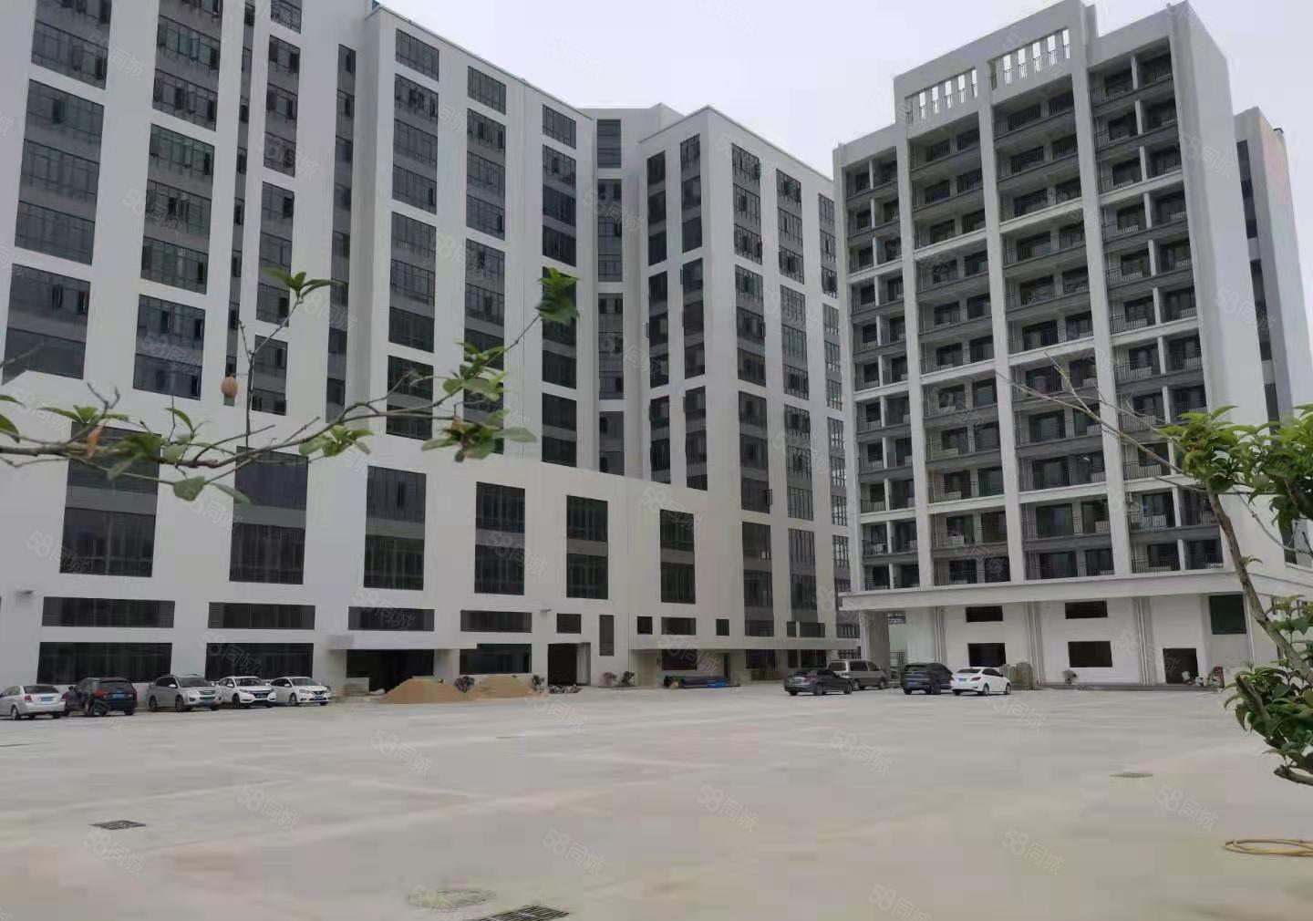 马安产业园780平全新装修厂房出租 租金优惠