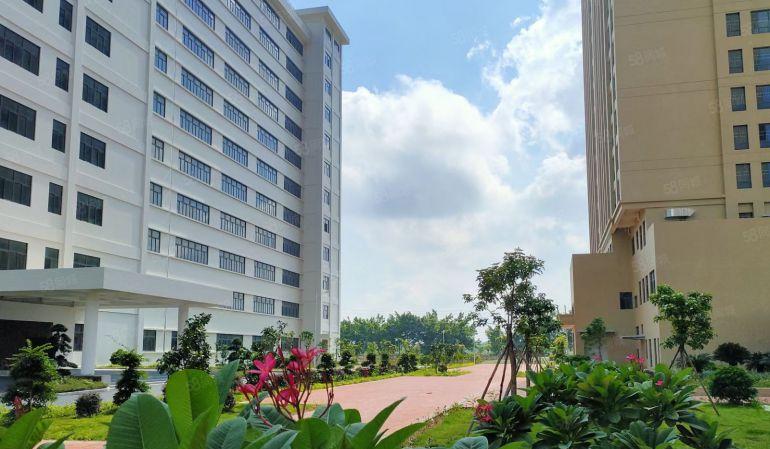 靓惠州水口38万平方花园式红本厂房