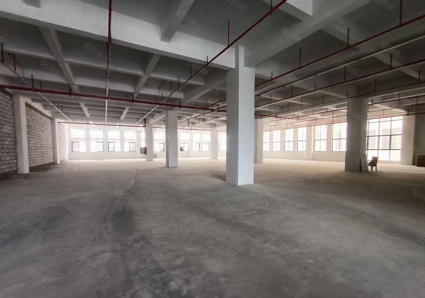 水口东江工业园三楼重工厂房1100平米 承重1吨 层高5米