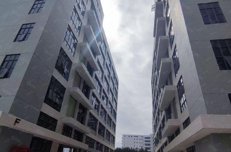 马安新乐工业区全新标准厂房单层1300平起低价出租