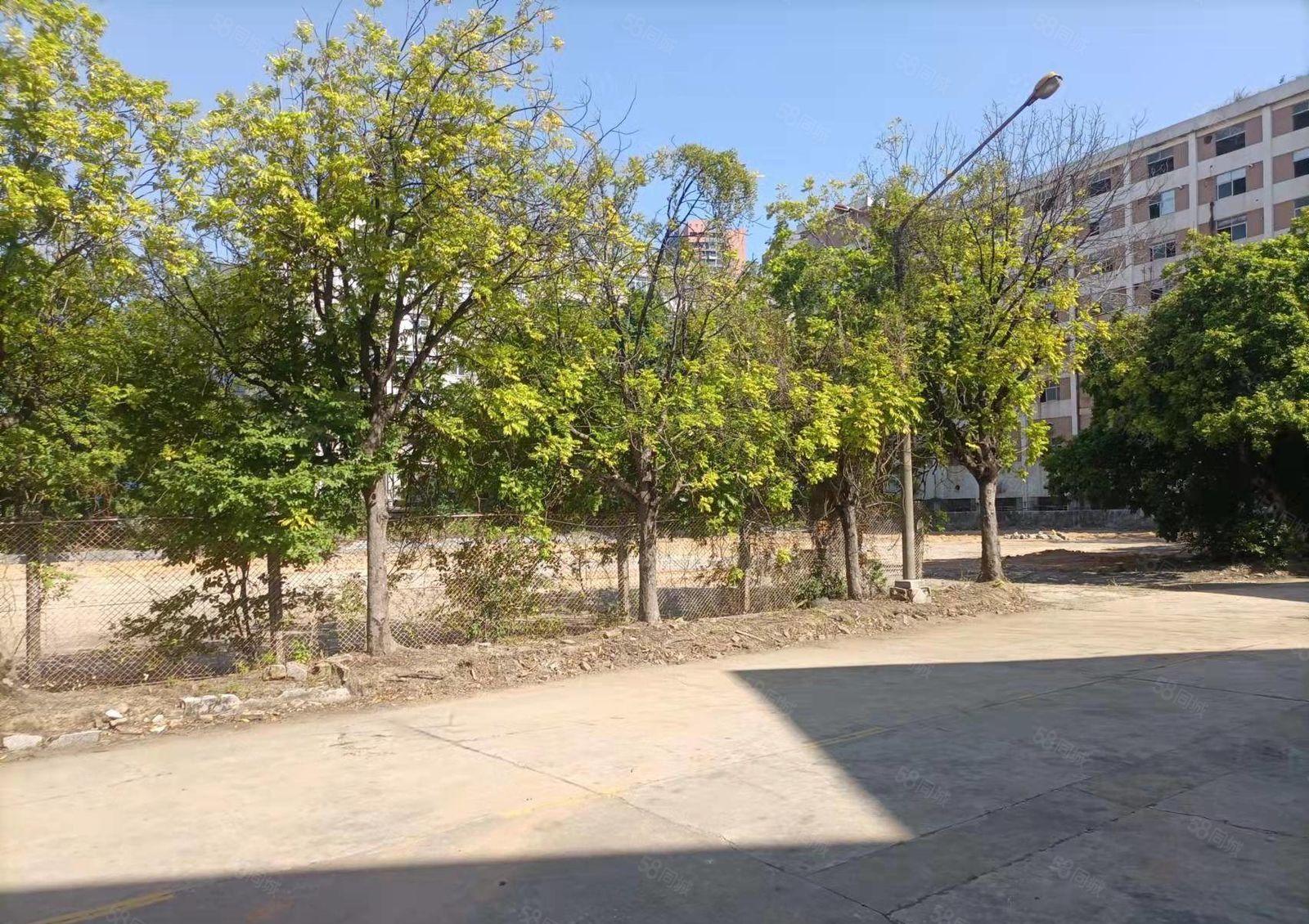 惠城区市中心新出单层14米高厂房（可做商业）