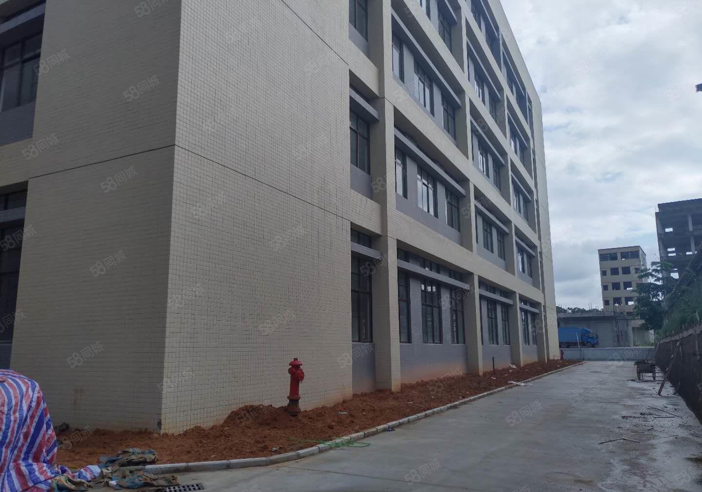 9.9元特价三栋镇全新厂房5楼1550平方出租，全新两吨货梯