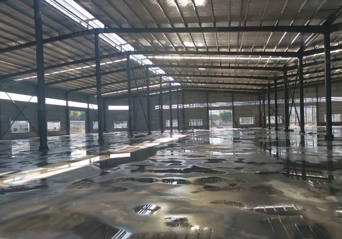 河南岸全新独院钢构厂房3300平滴水7米 空地1000平方