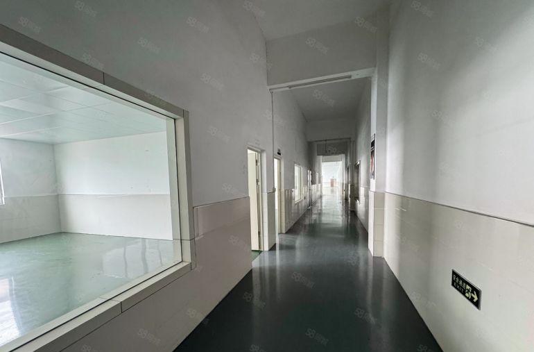 水口每平方6元红本独院标准厂房5000平方出租证件齐全