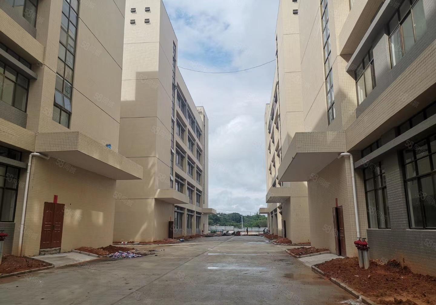 三栋全新原房东红本厂房1550平方9.9元起出租 配套完善