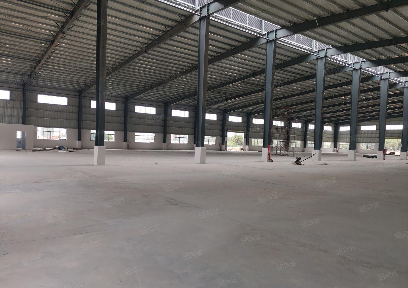 惠城区马安全新钢构厂房出租，21000平方米，分租或整租。