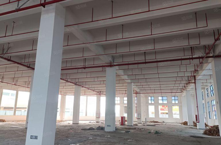 层高7.5米水口原房东一楼1100方2200方红本厂房招租