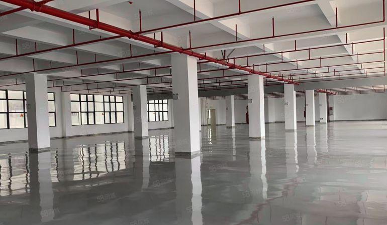 水口东江市场原房东厂房单层1200平米 8元起租