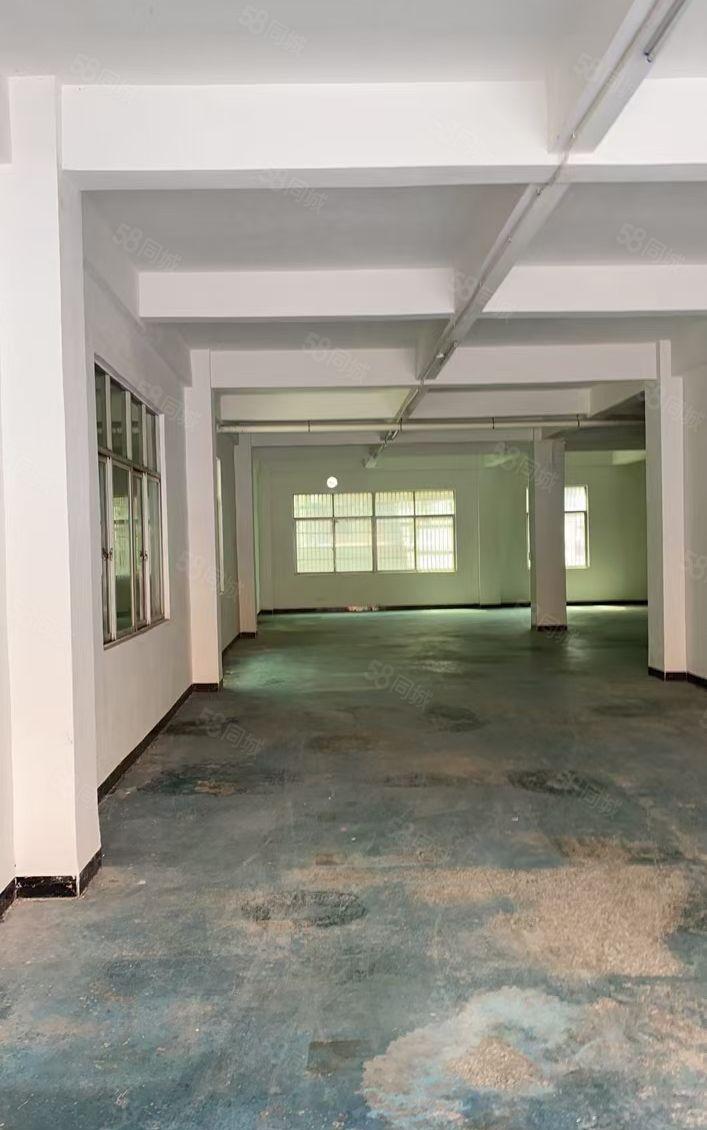 惠城区小金口独门独院一楼1000平方厂房