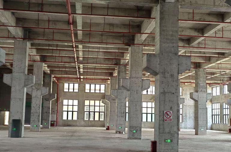 三栋镇42000平方全新标准厂房红本双证可分租