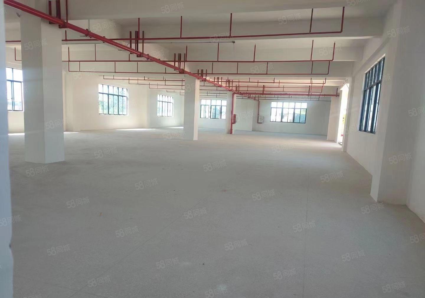 惠城区下角附近原房东独院厂房8000平方出租