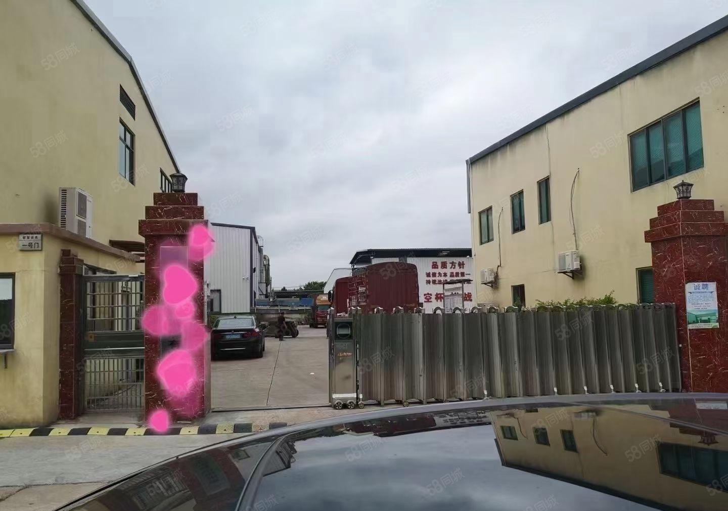 三栋工业园独栋单一层钢构3800平方出租，可分租