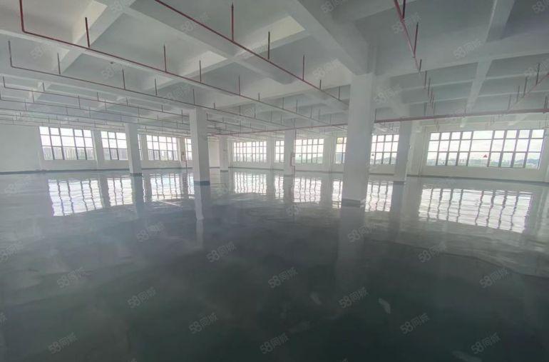 惠州惠城马安500平米起租，单层面积2000平米，租金10元