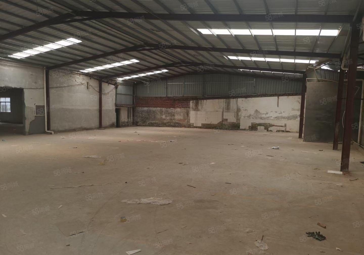 惠城区小金口原房东（800平方）滴水5米钢构厂房 仓库