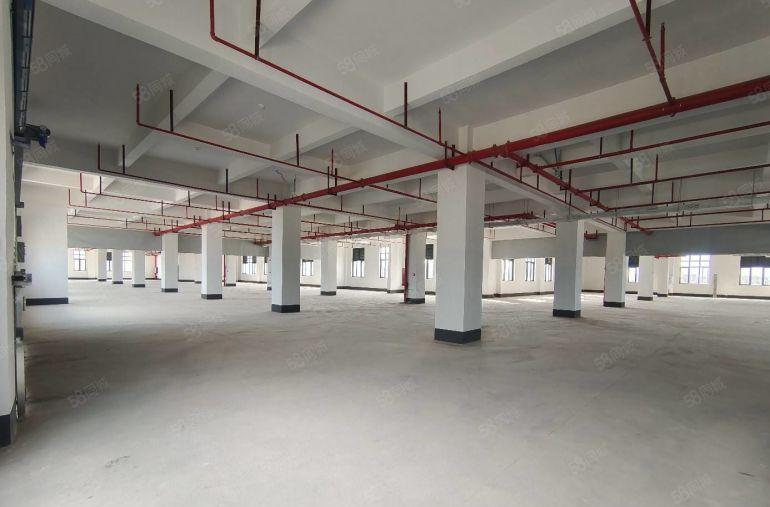 马安新乐 原房东红本全新标准厂房1000平起租 租金13