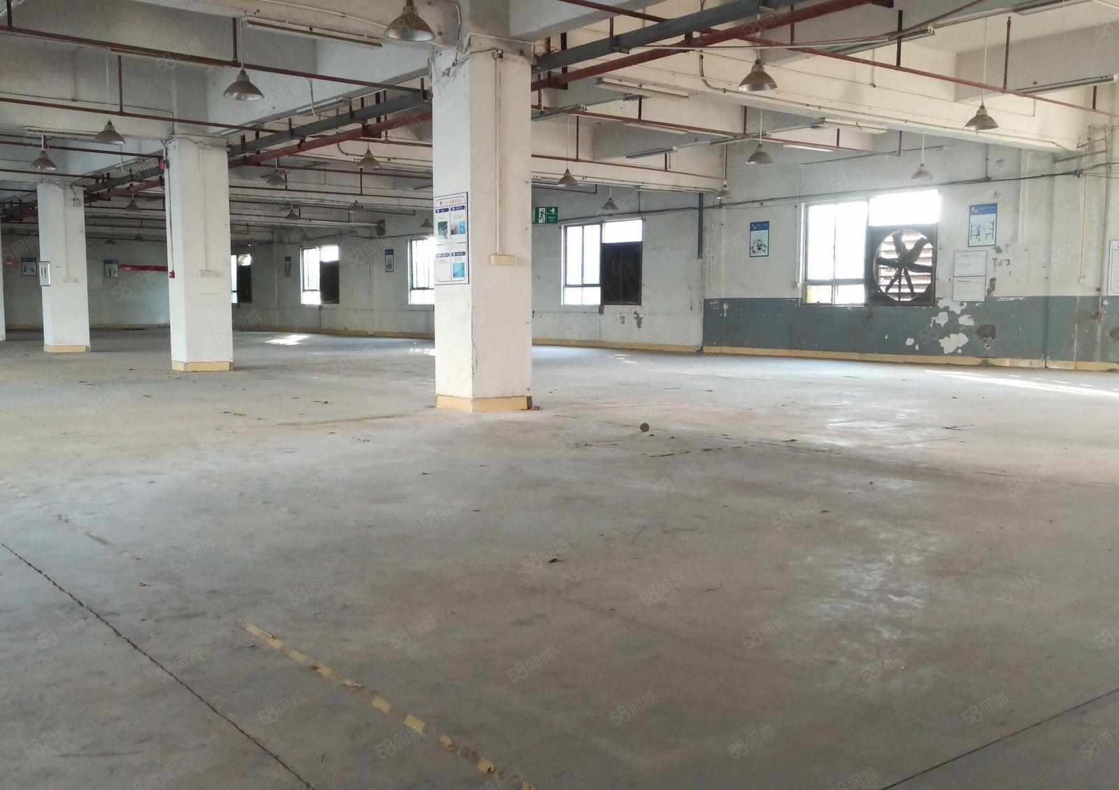 马安新乐工业区独院厂房出租1~3层带电梯