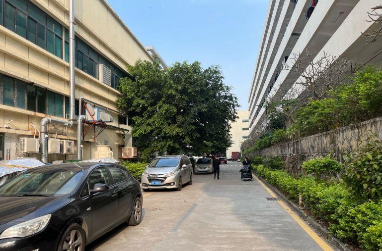 惠城河那岸原房独院6000千平原房东钢构厂房出租500起分租