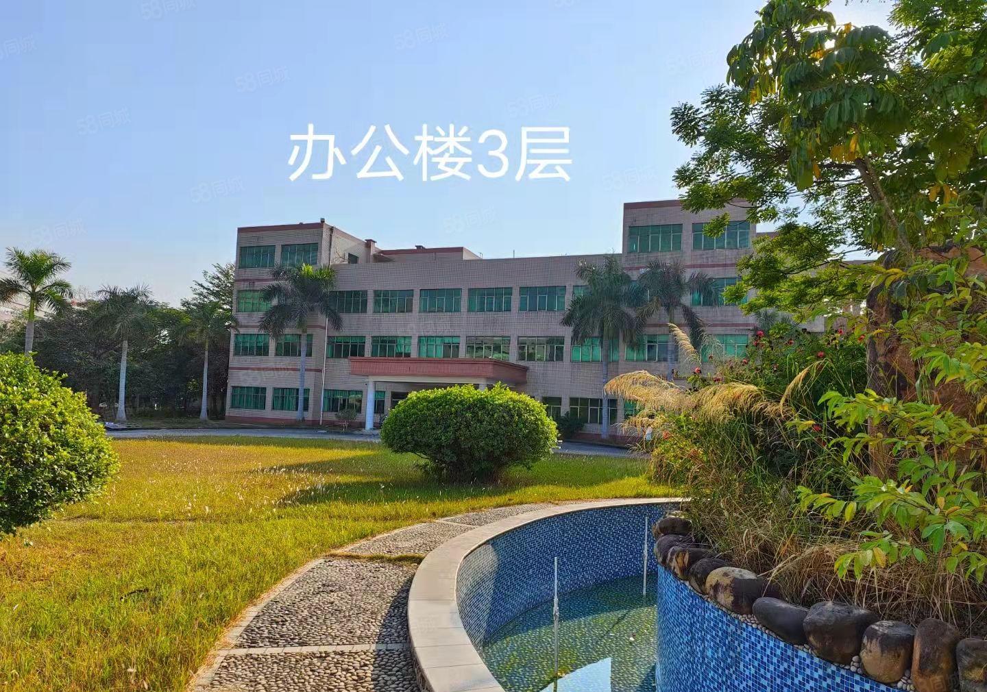 水口三栋花园式单一层2907平钢构厂房办公宿舍招租滴水9米