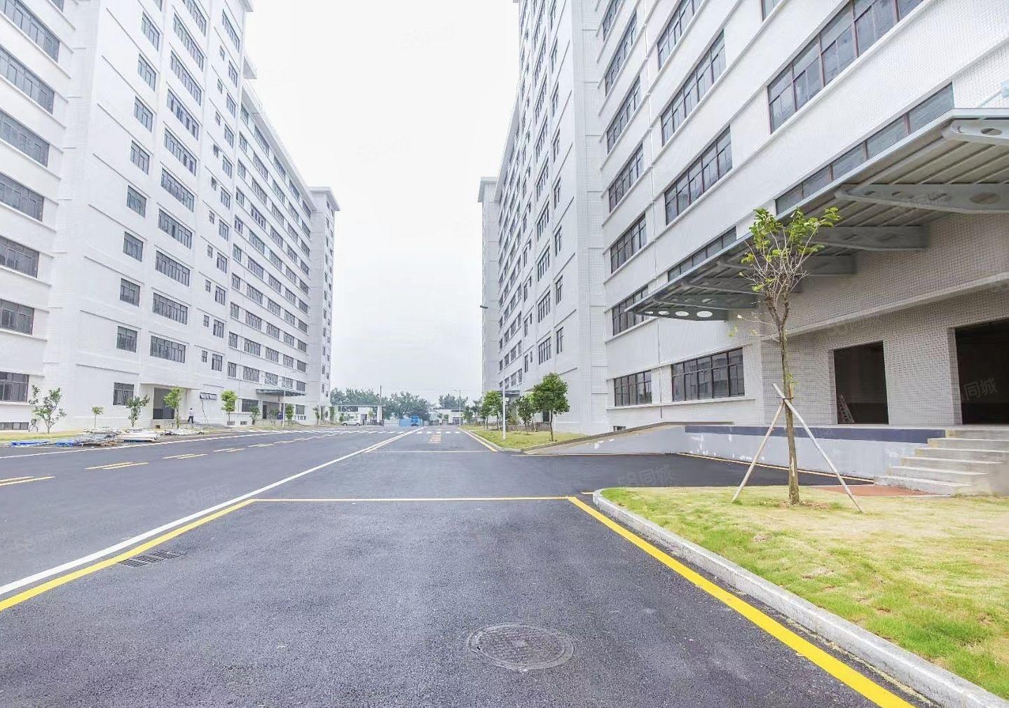 惠城区水口东江10元起2000平标准厂房招租行业不限可办环评