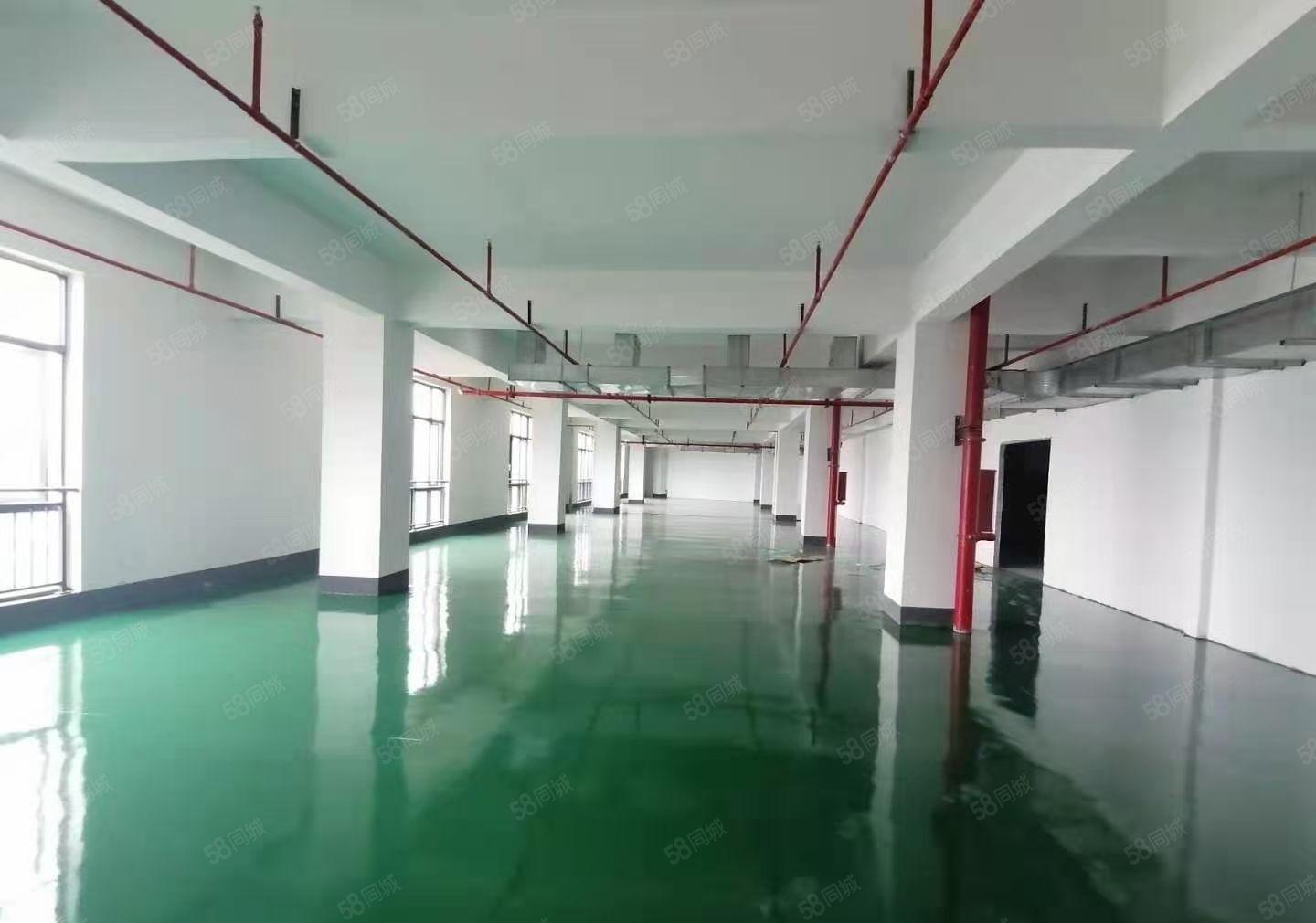 马安德威江誉城旁工业园区带地坪装修1100平出租 租金12元