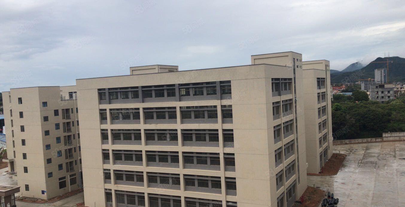 超靓新盘，原房东厂房