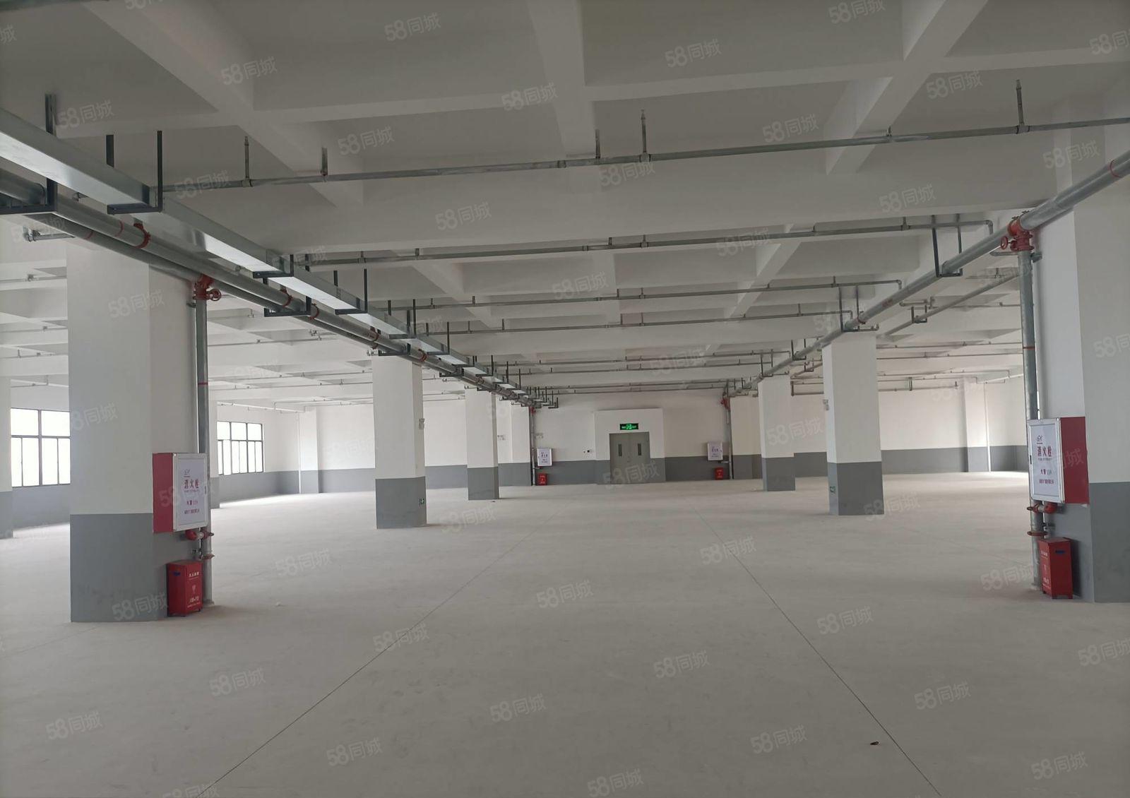 水口东江全新厂房1500平方 10元出租，水电齐全