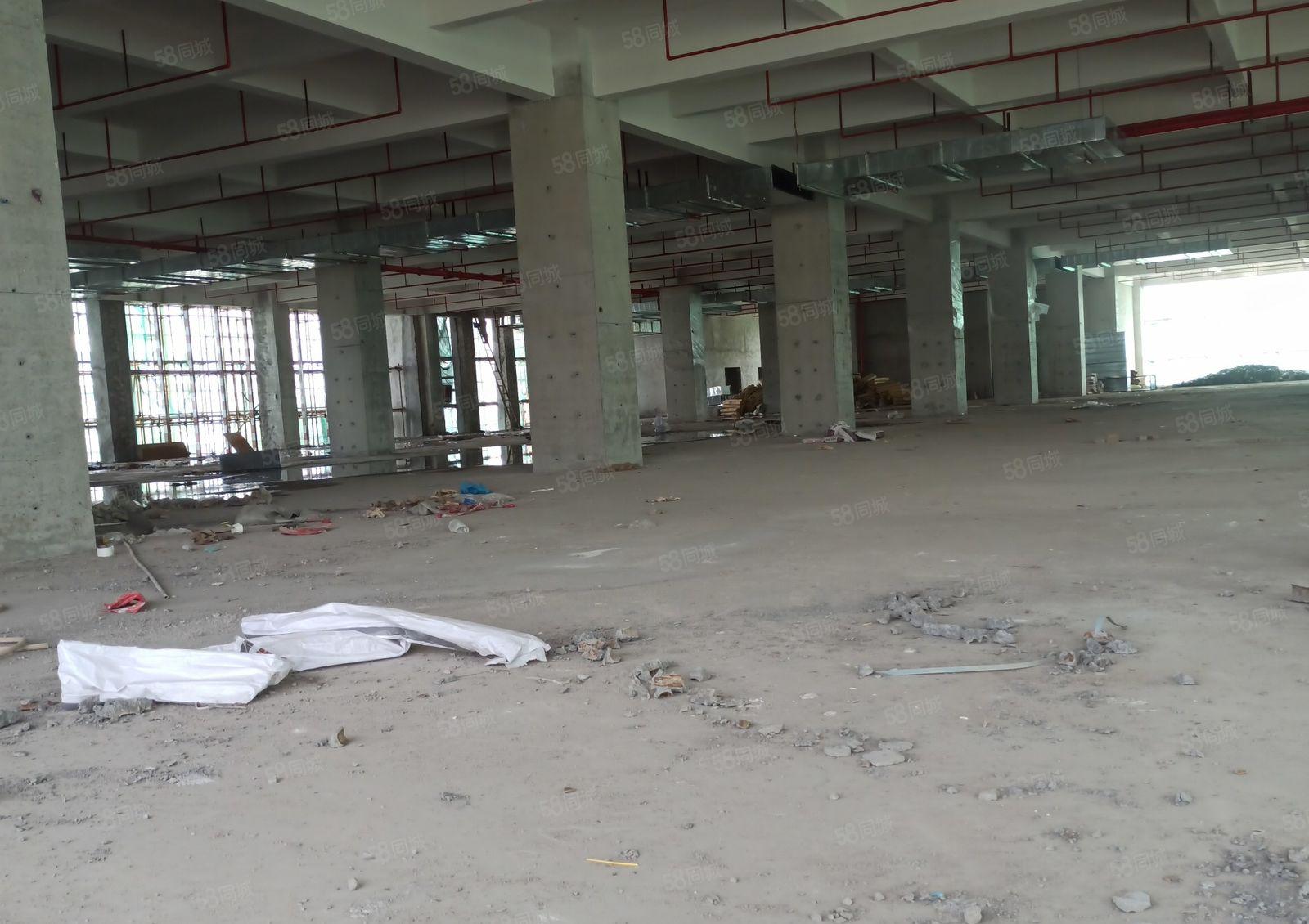 高新区三栋数码园1楼高度6.5米 2楼高度5.5米。可分层租