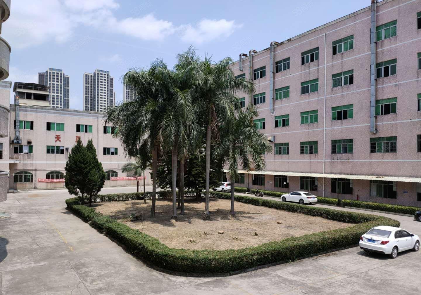 水口湖滨新空出1000平方现成装修红本厂房出租