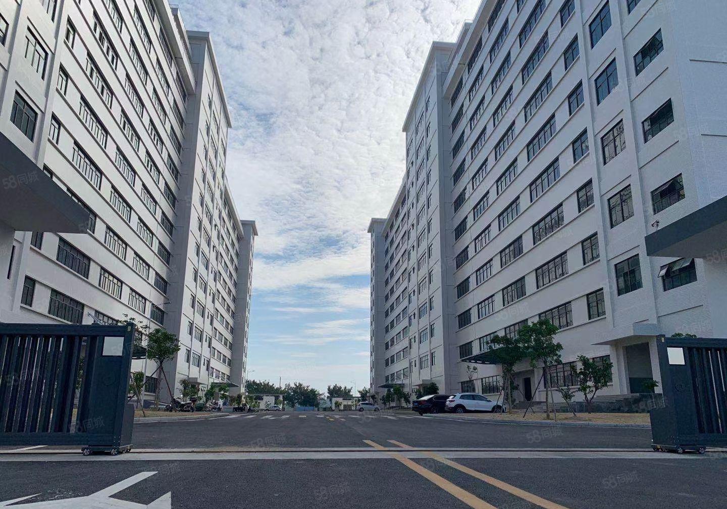 水口工业区全新红本厂房6500平 面积可分租 租金10元起