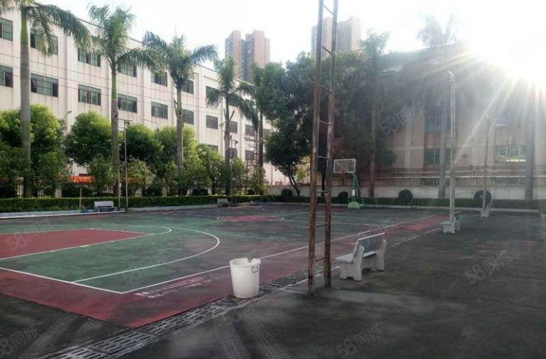 靓水口全新独院厂房1至8楼26400平米