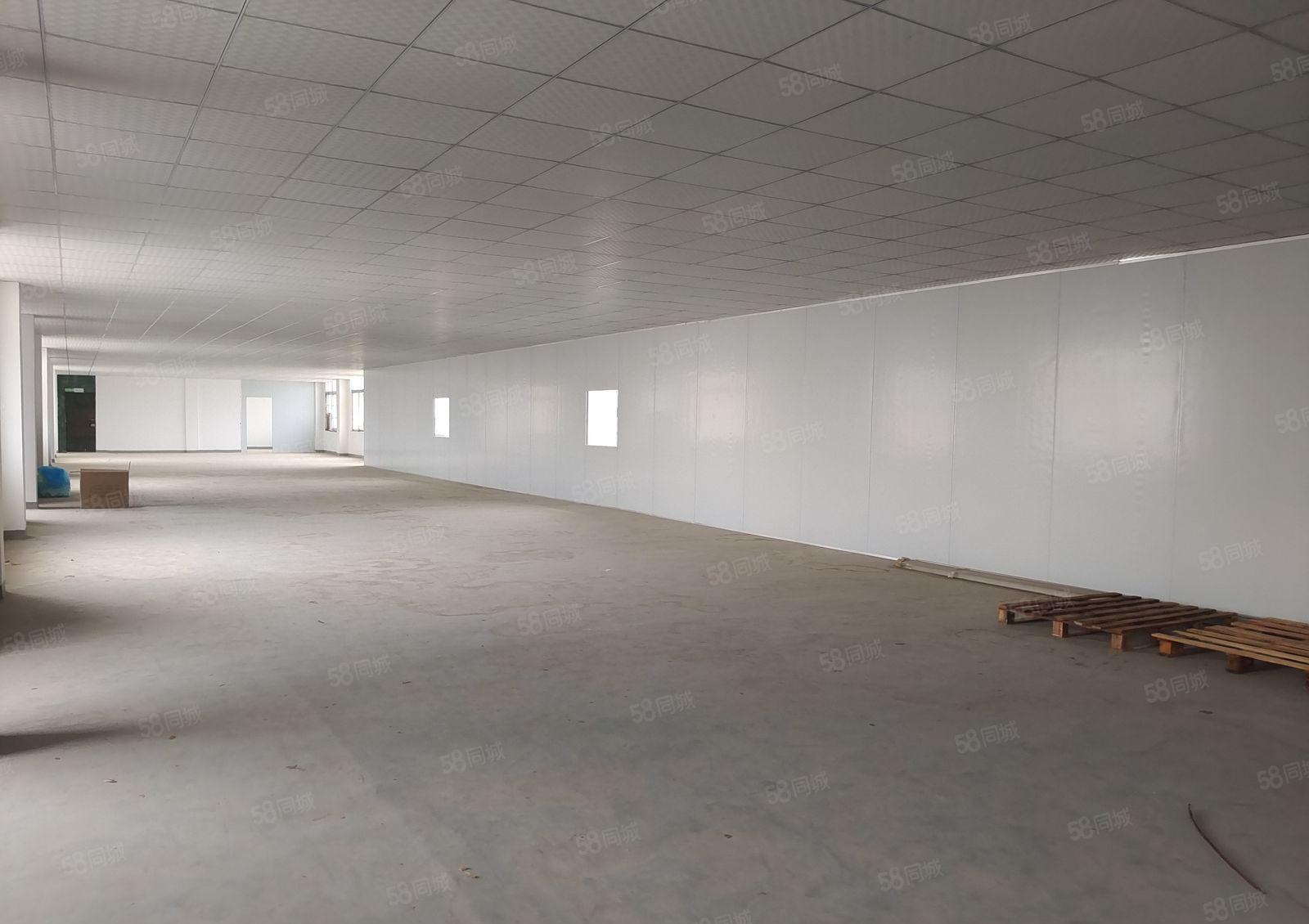 水口东江工业区水果市场900平方米厂房出租好招工有货梯