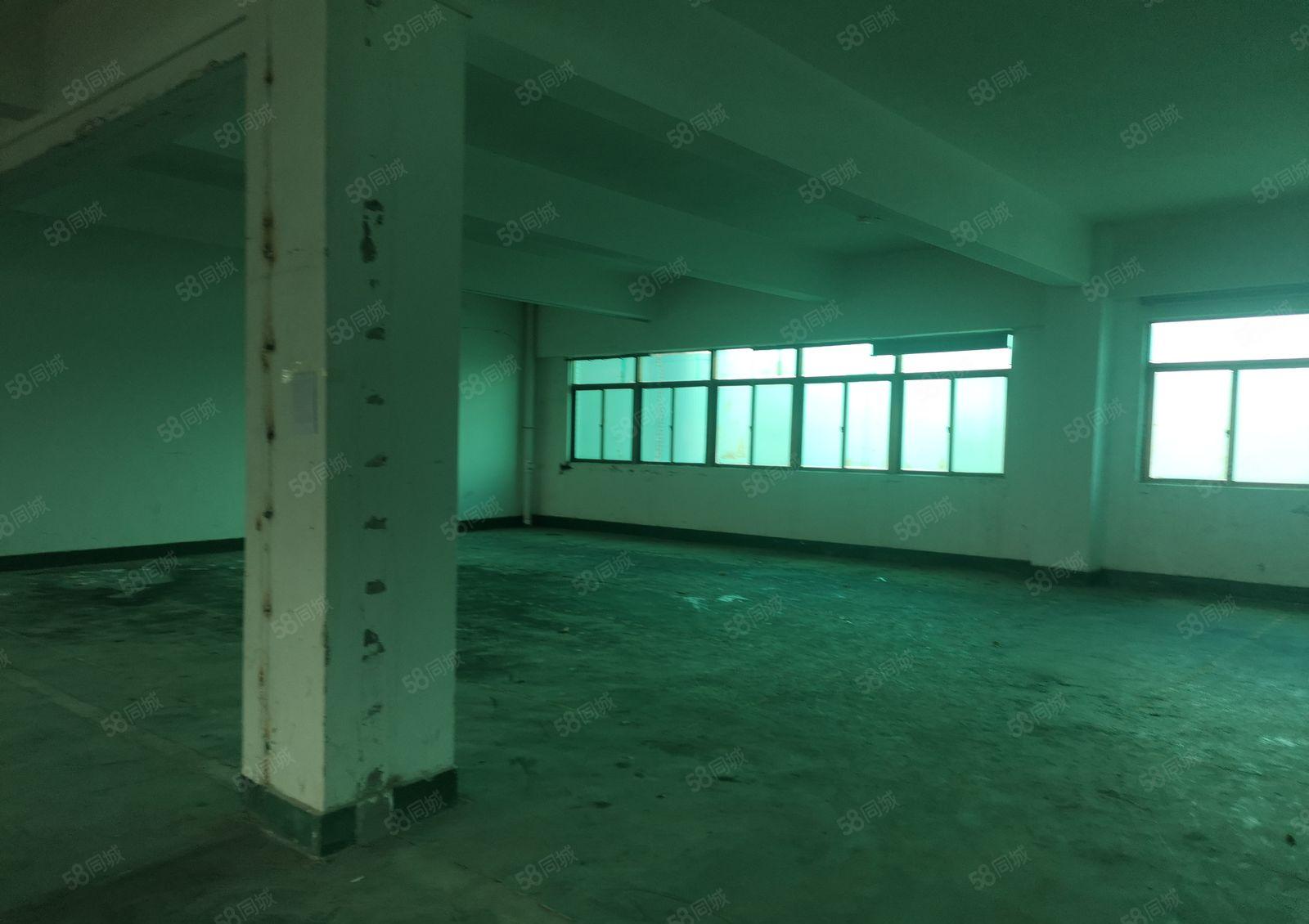 水口东江工业区仓库厂房出租，全新200平方米！有三相电！