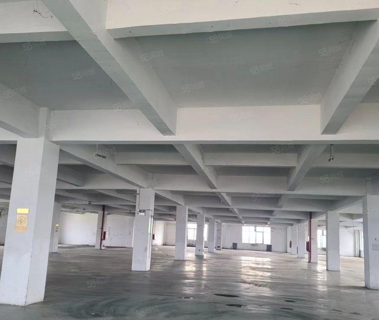 三栋数码园一二层4600平方红本标准厂房招租层高6米