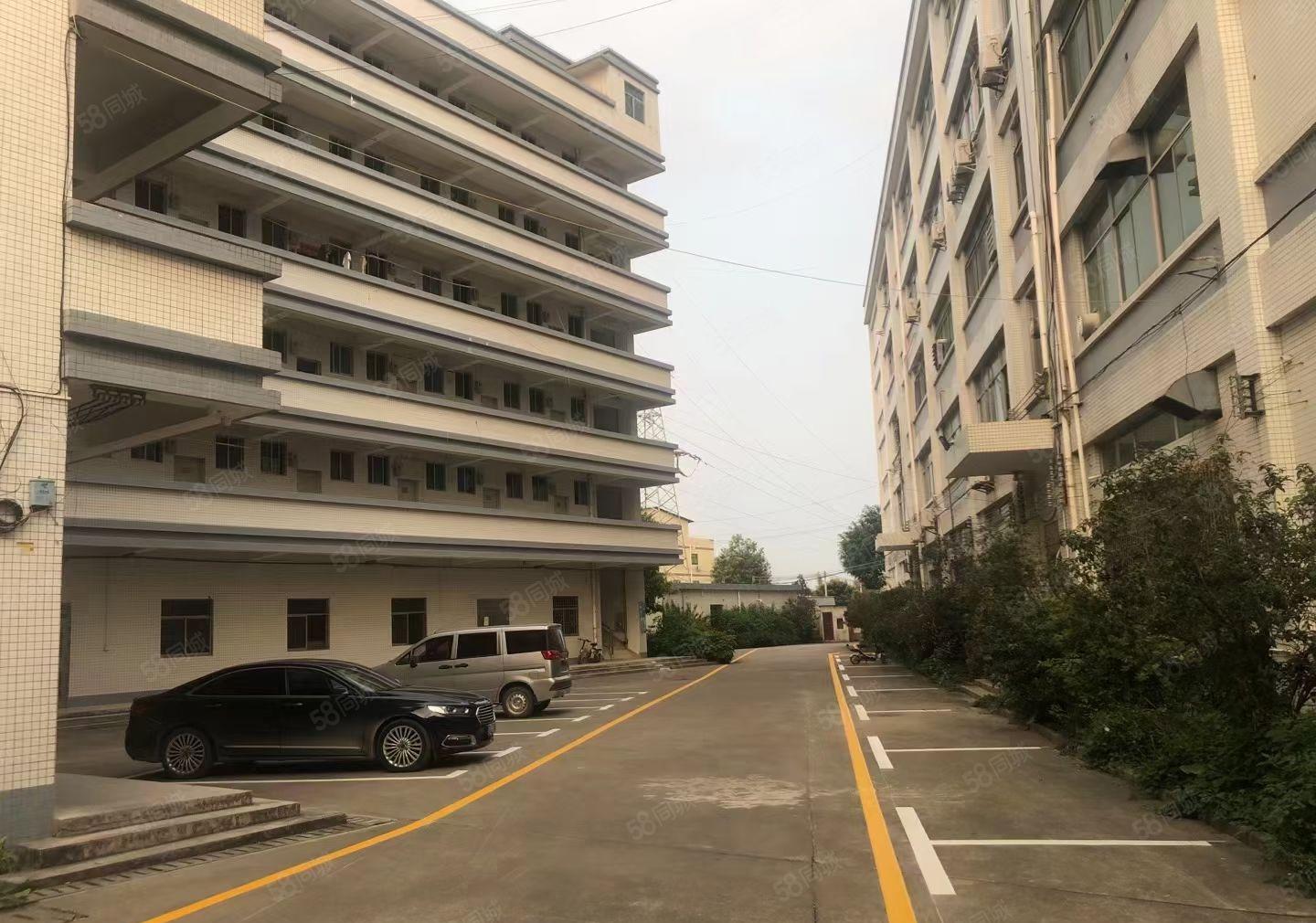 水口花园式红本楼上厂房招租6800平米可分租