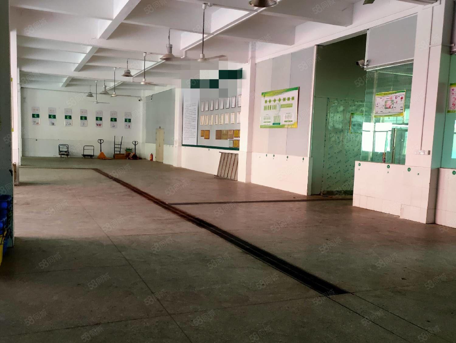 惠城区小金口独门独院三层2600平方，一楼高度6米！