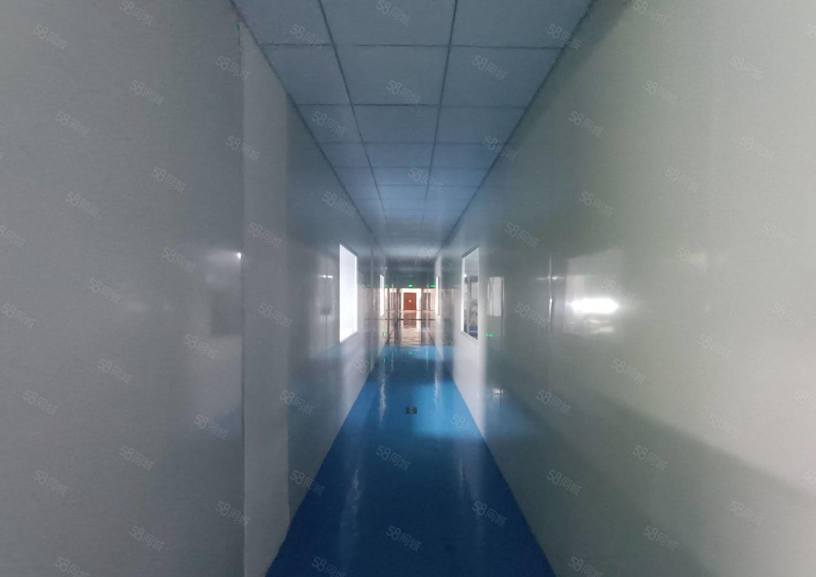 平潭怡发工业区三楼无尘车间1000平方出租，免转让费