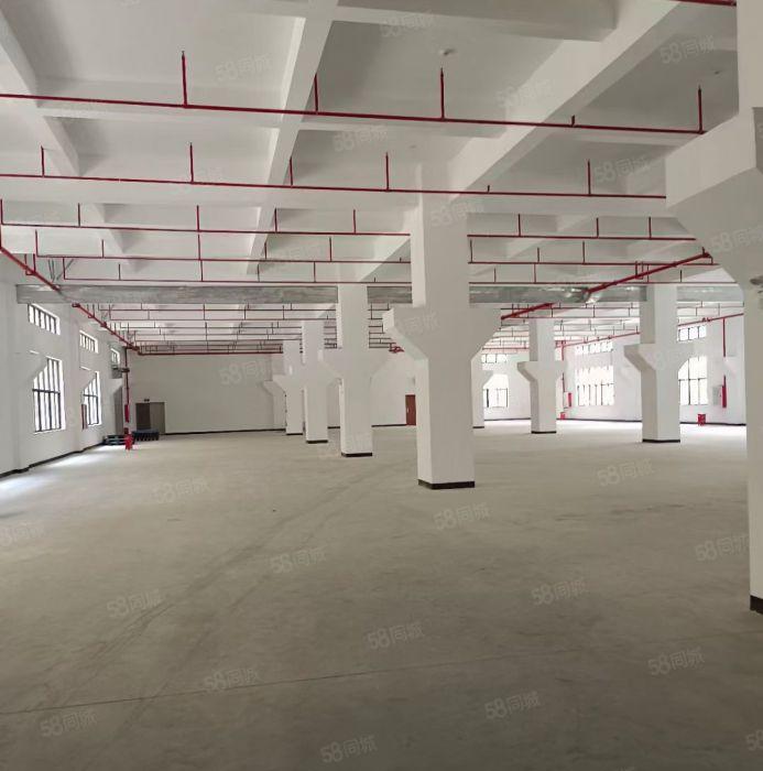 靓水口新出全新7.5万平米厂房招租（可分租）