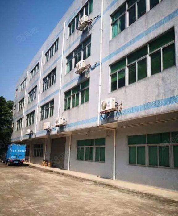 独门独院5000平方厂房出租 原房东价格实惠