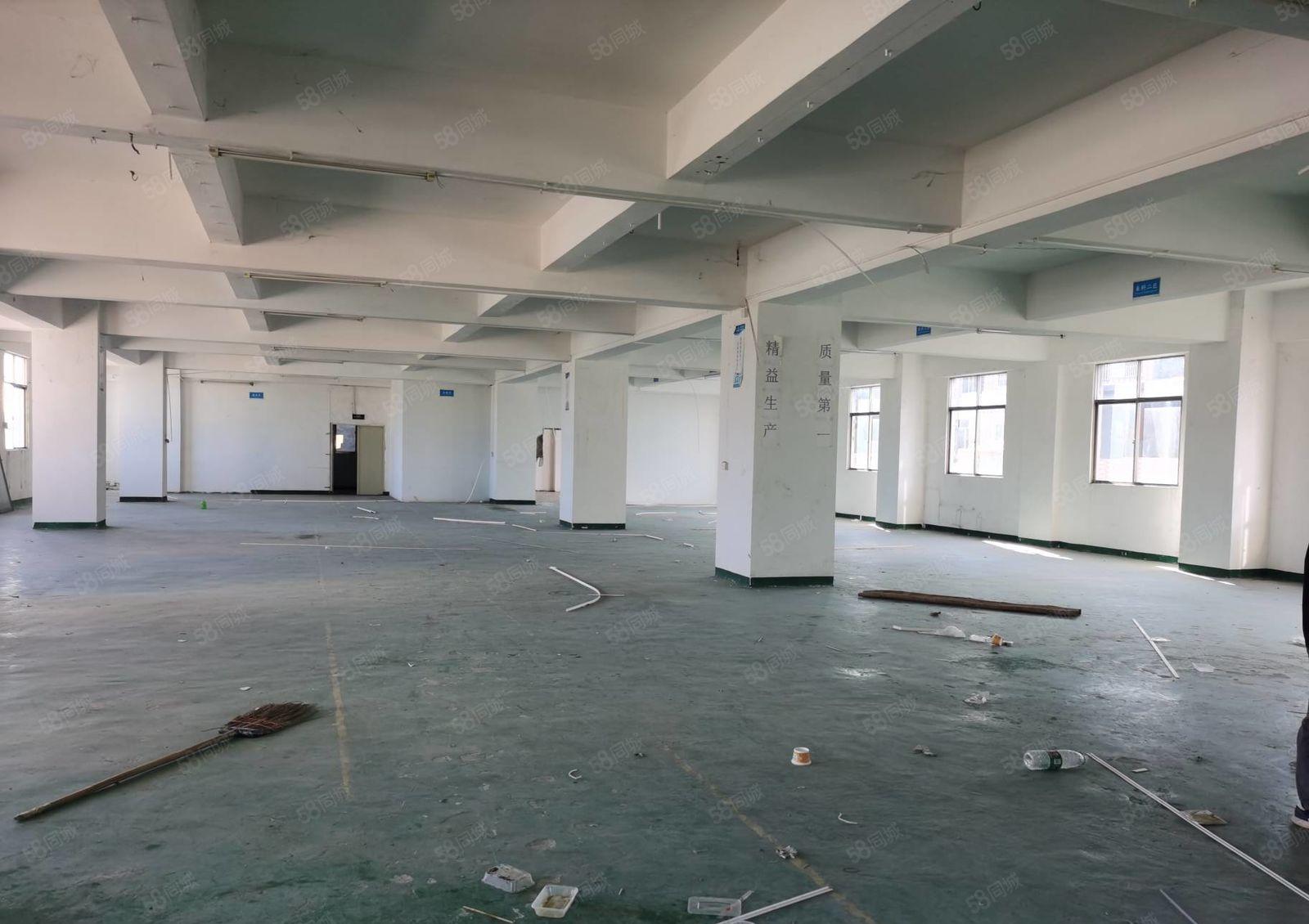 小金口青塘独院3200平方厂房出租价格实惠交通方便