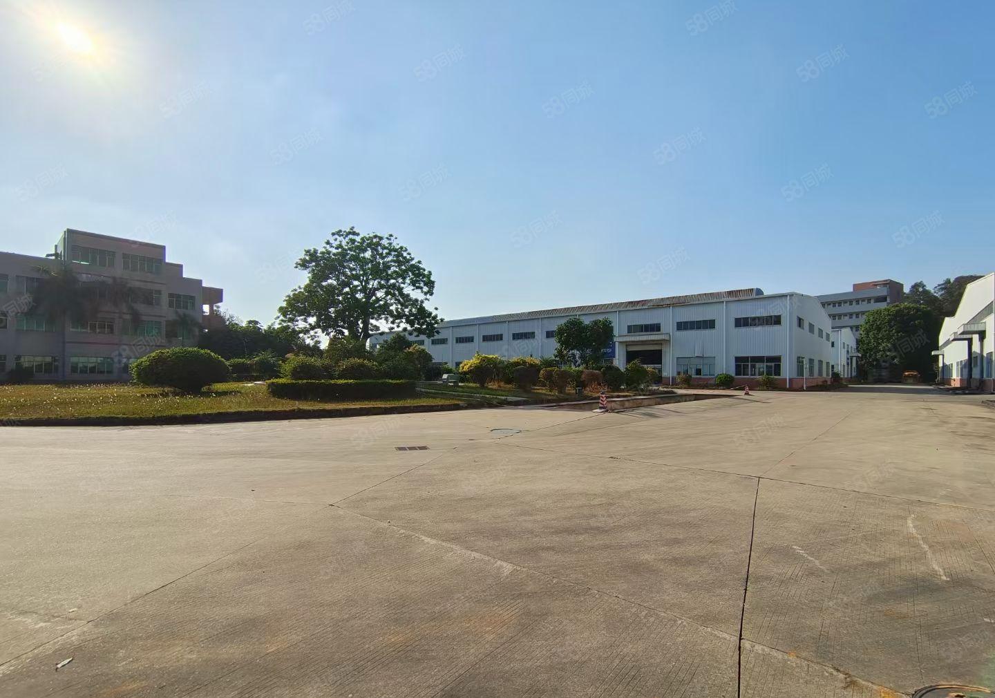 水口9000平米花园式钢构厂房招租可分租