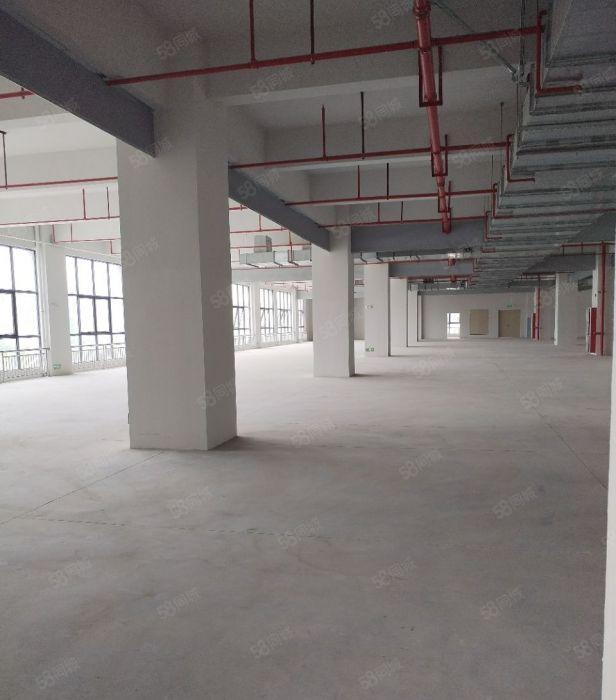 三栋数码园原房东红本工业园分租
