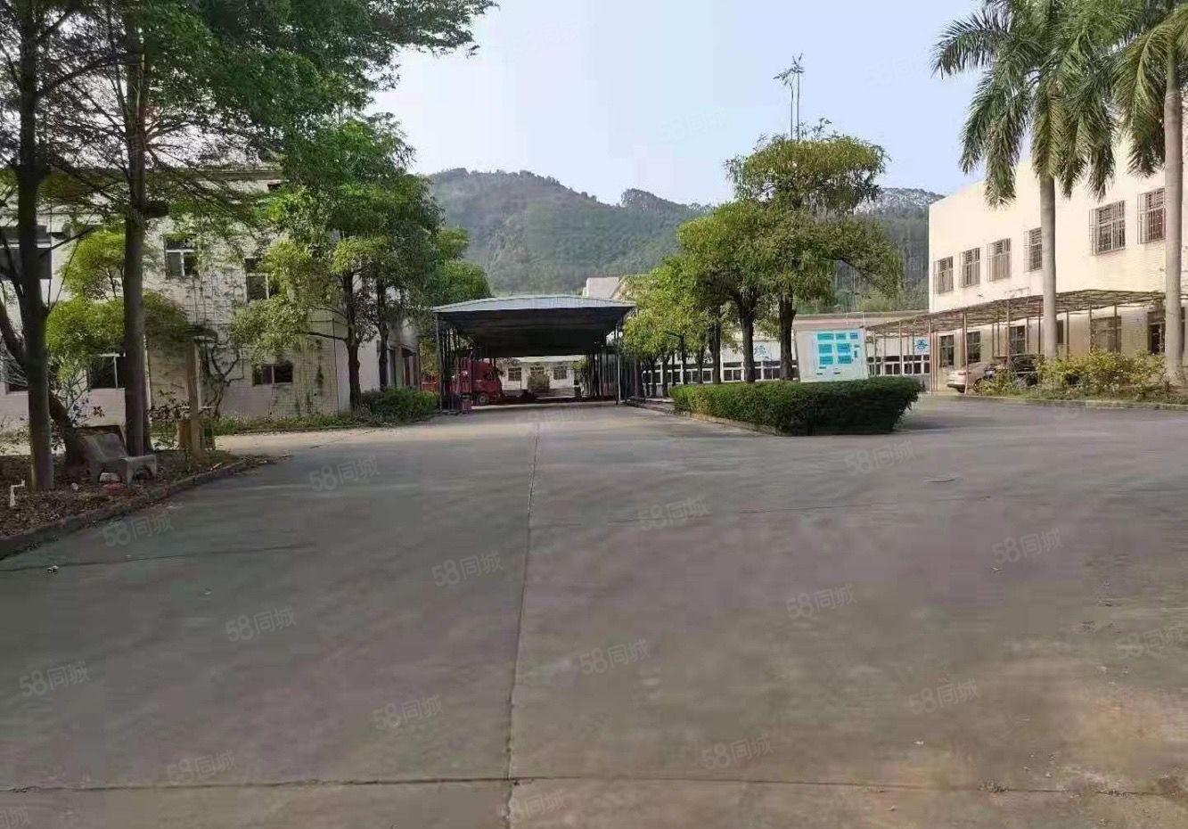 惠城区罗阳高速路口新独院厂房15000平方招租