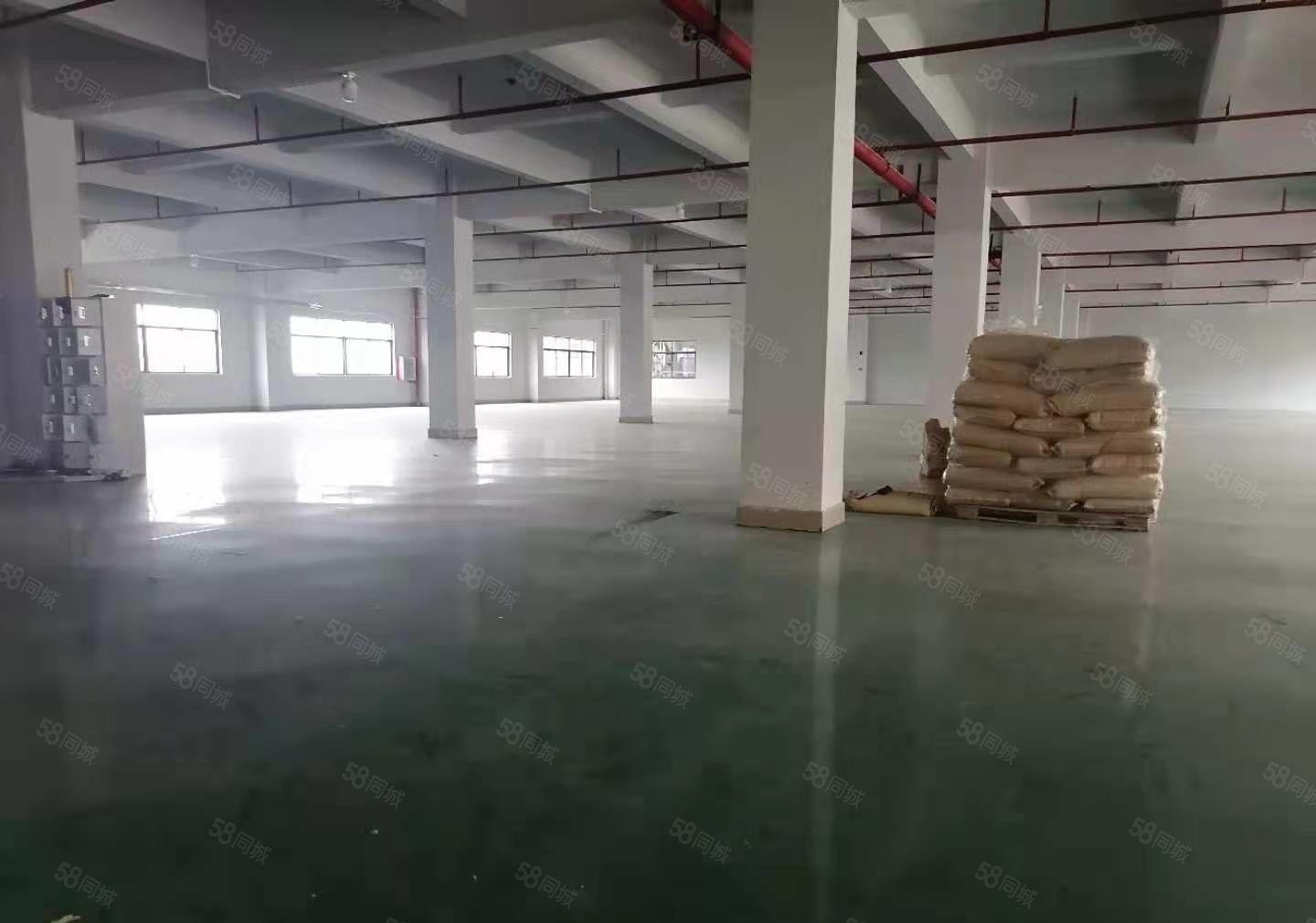 小金口独门独院原房东标准厂房面积6380证件齐全带红本招租