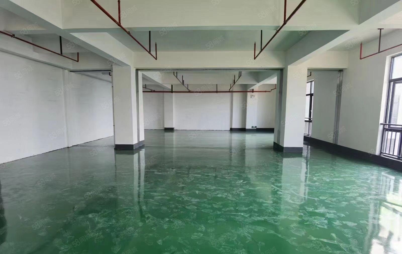 马安工业区7楼全新厂房出租面积780平方米现成装修3吨货梯