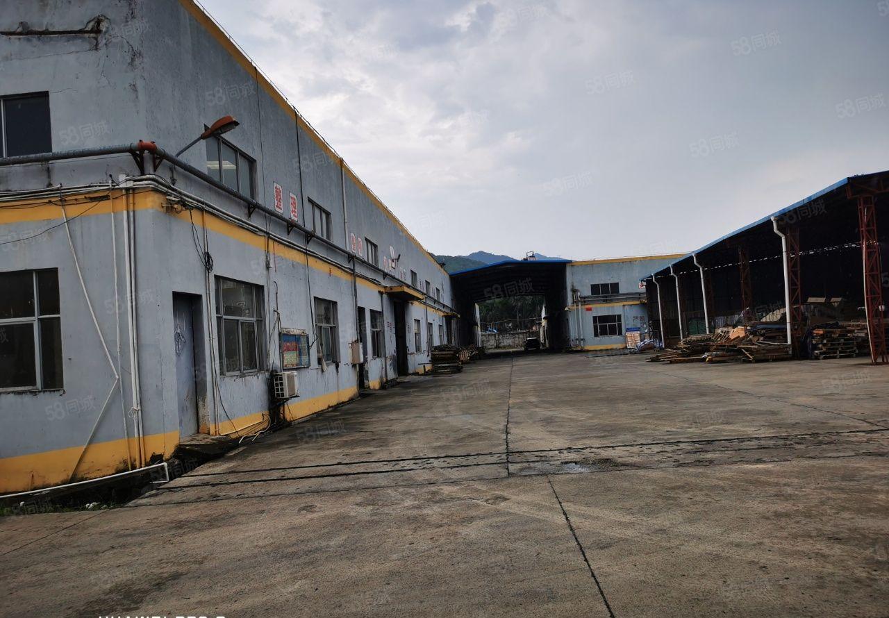 惠城标准钢结构厂房8千平方招租（低价招商）