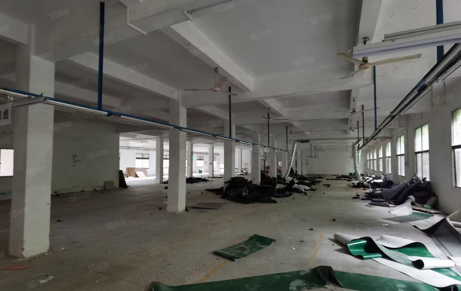 原房东大湖溪一楼600平，靠主干道边，配电按需