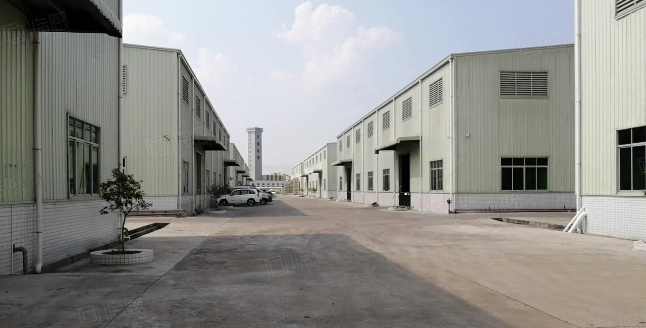 惠城小金口 侨兴工业园独栋8000平钢构仓库厂房出租，可分租